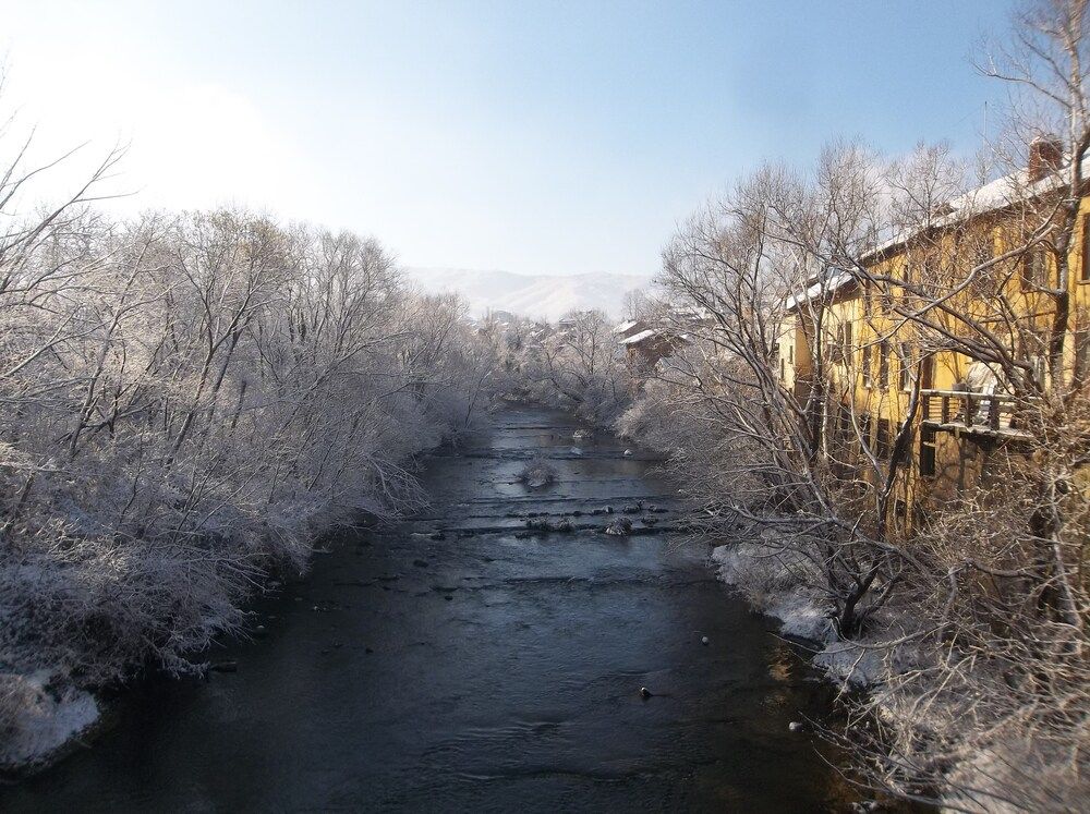 Photograph by Георги Колев