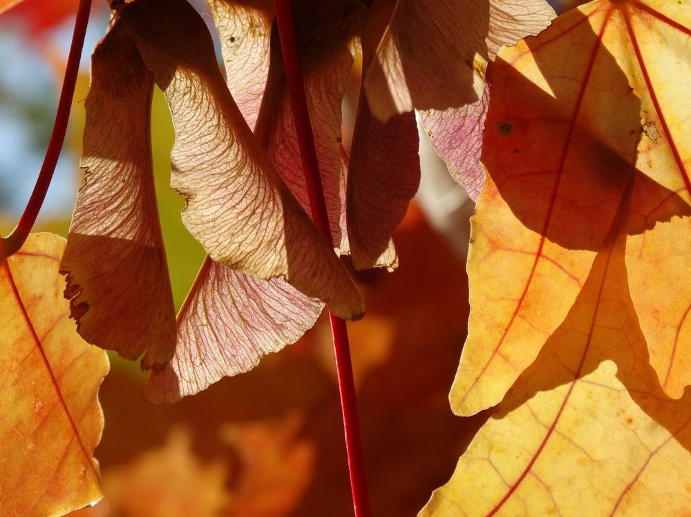Фотография автора Юрий Звонарев