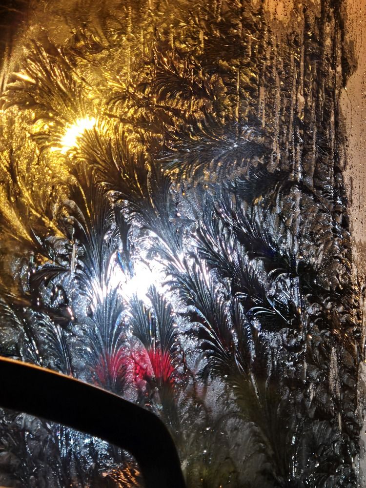 Photograph by Жанна Регор