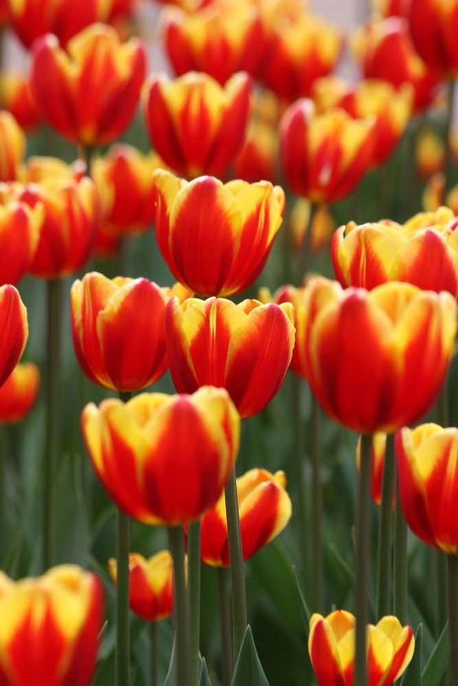 Photograph by Елена Смирнова