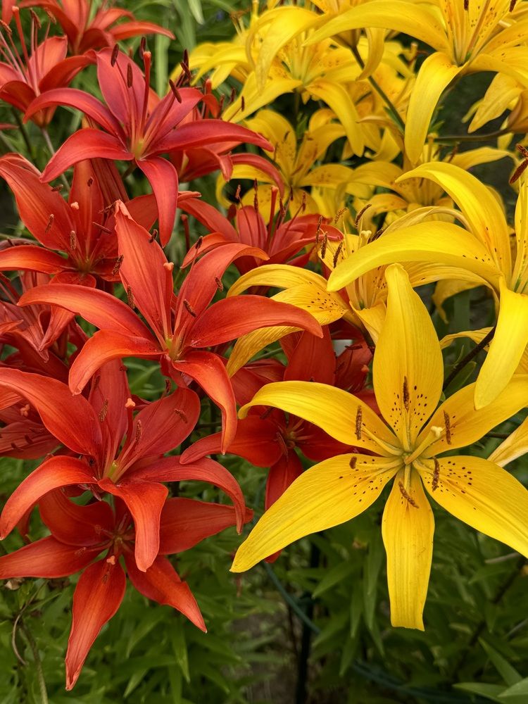 Photograph by Елена Смирнова