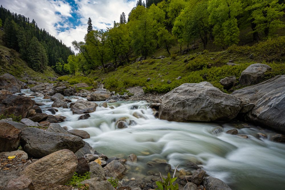 Photograph by sushovan sar