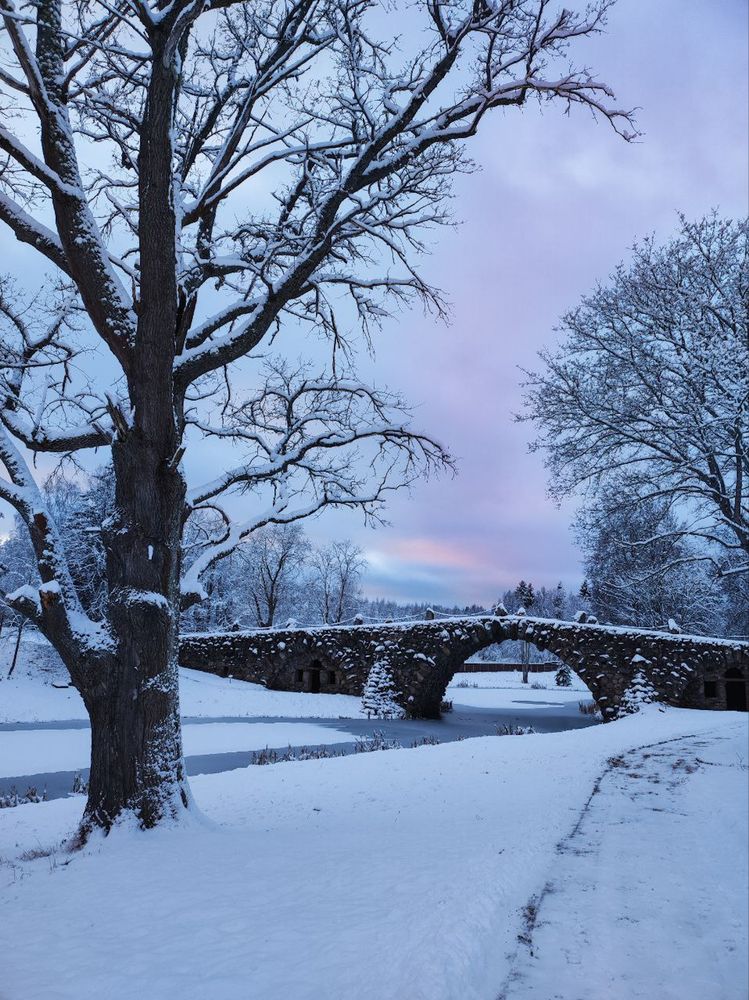 Photograph by Евгения Россоловская