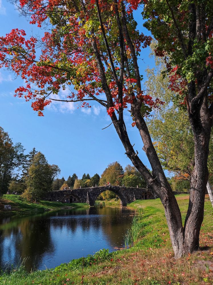 Photograph by Евгения Россоловская