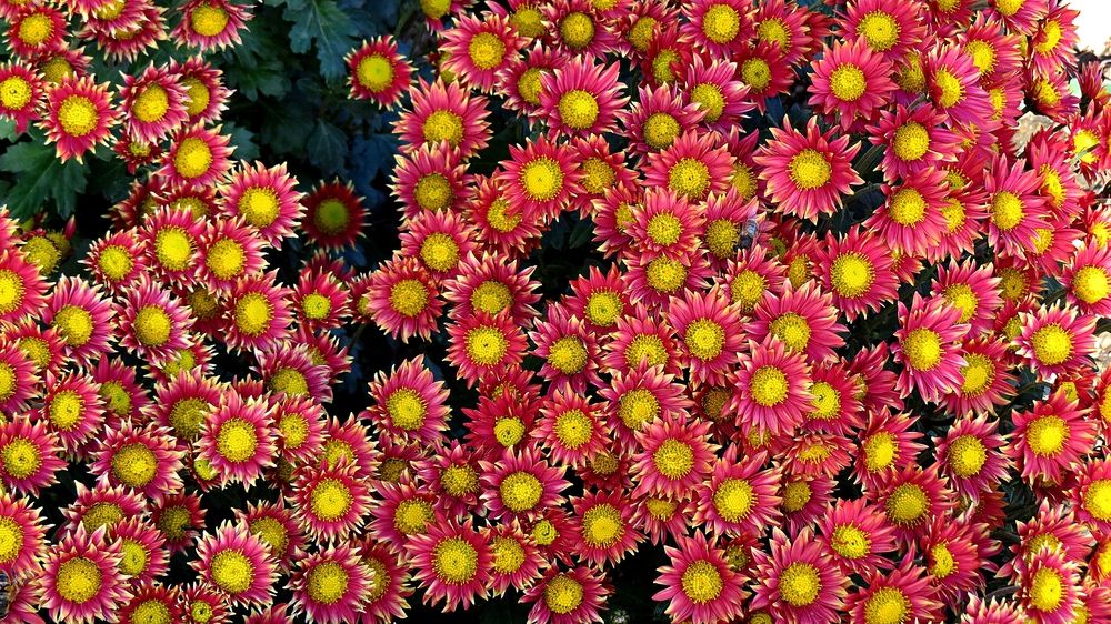 Photograph by Фартушняк Сергей