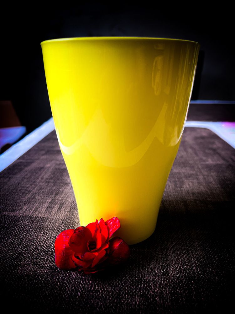 Photograph by Irina Ginbert