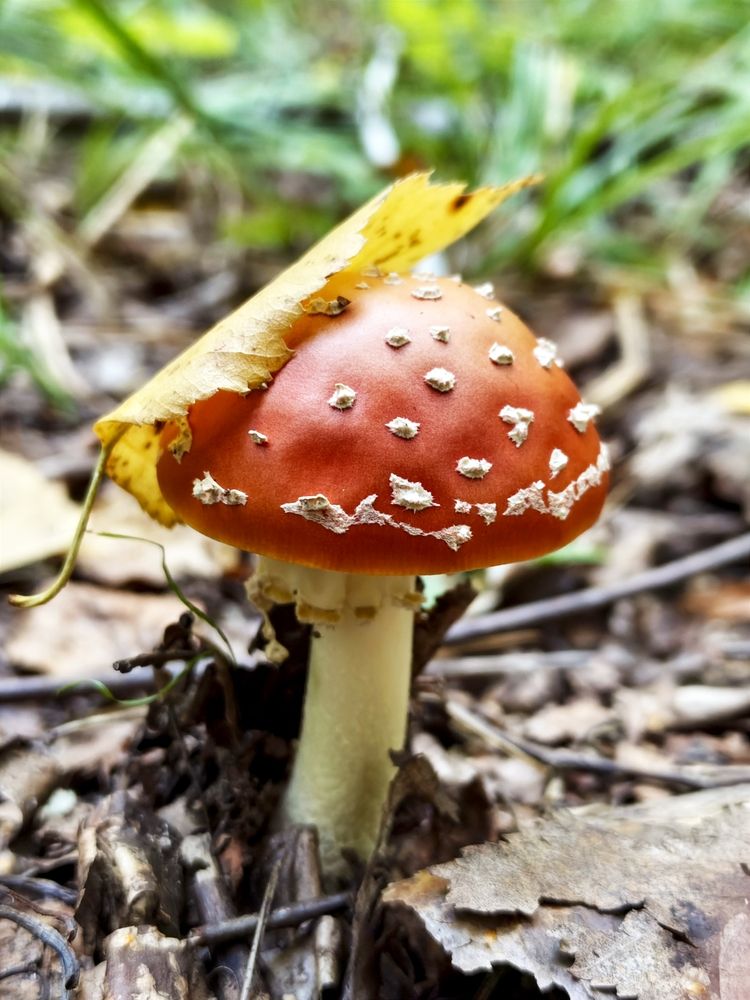 Photograph by Татьяна Пятернёва