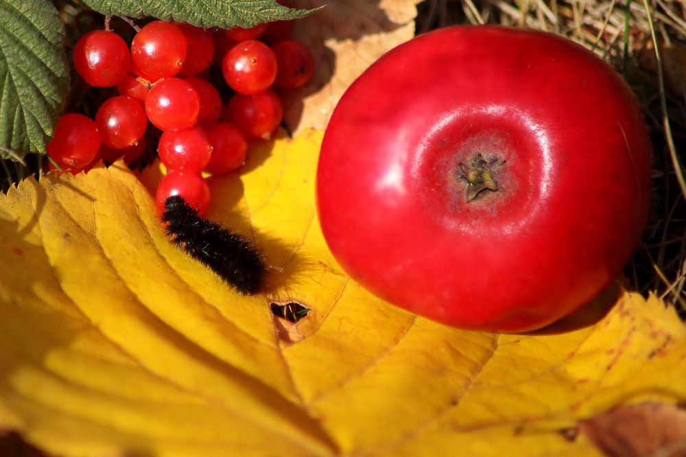 Photograph by Андрей Стародубцев