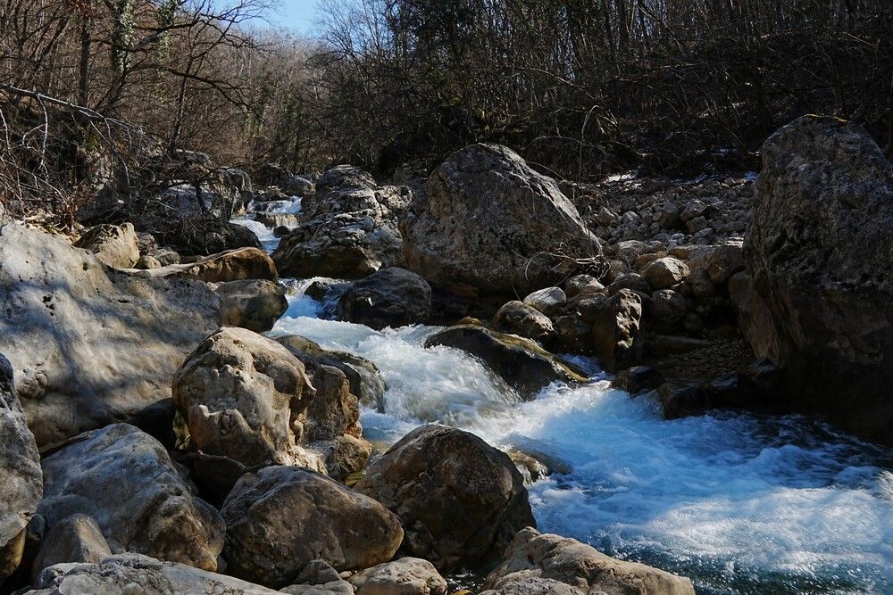 Photograph by света хлевненко