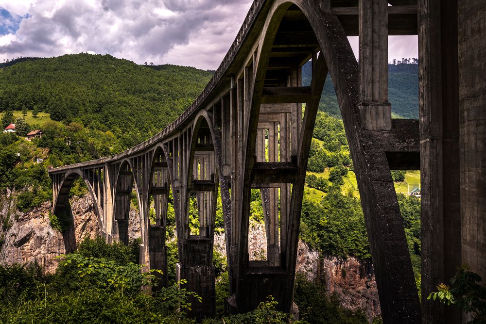 Photograph by Анна Стрелковская