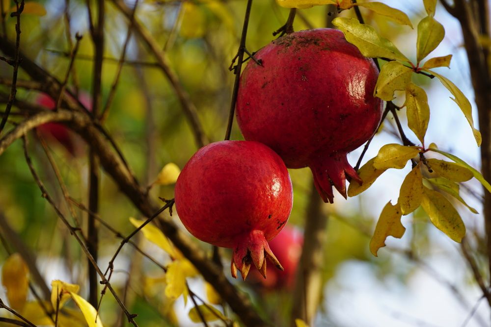 Photograph by света хлевненко