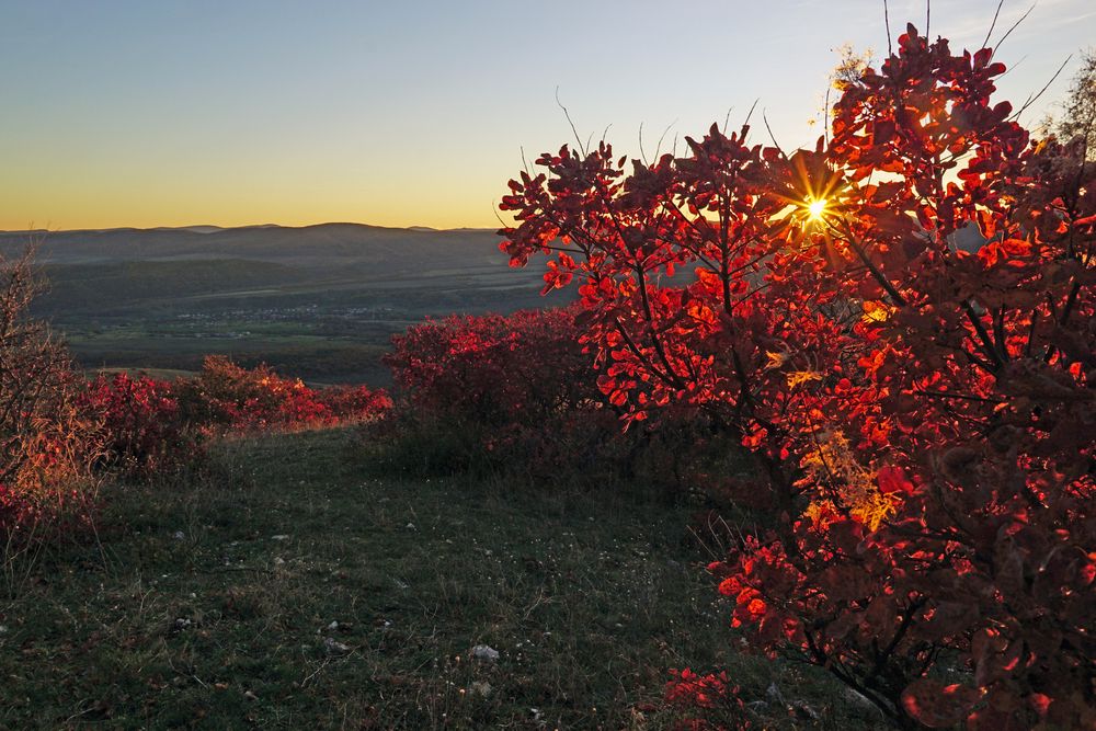 Photograph by света хлевненко