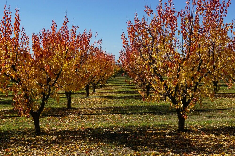 Photograph by света хлевненко