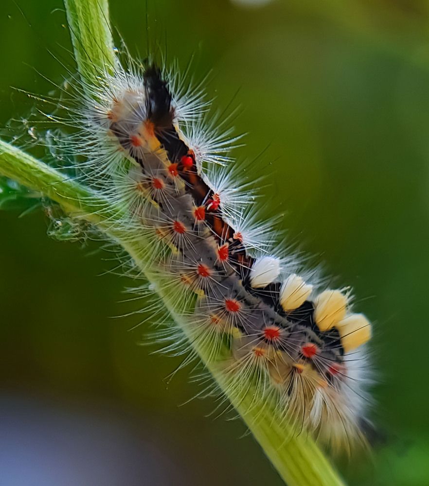 Photograph by Пушкин Сергей