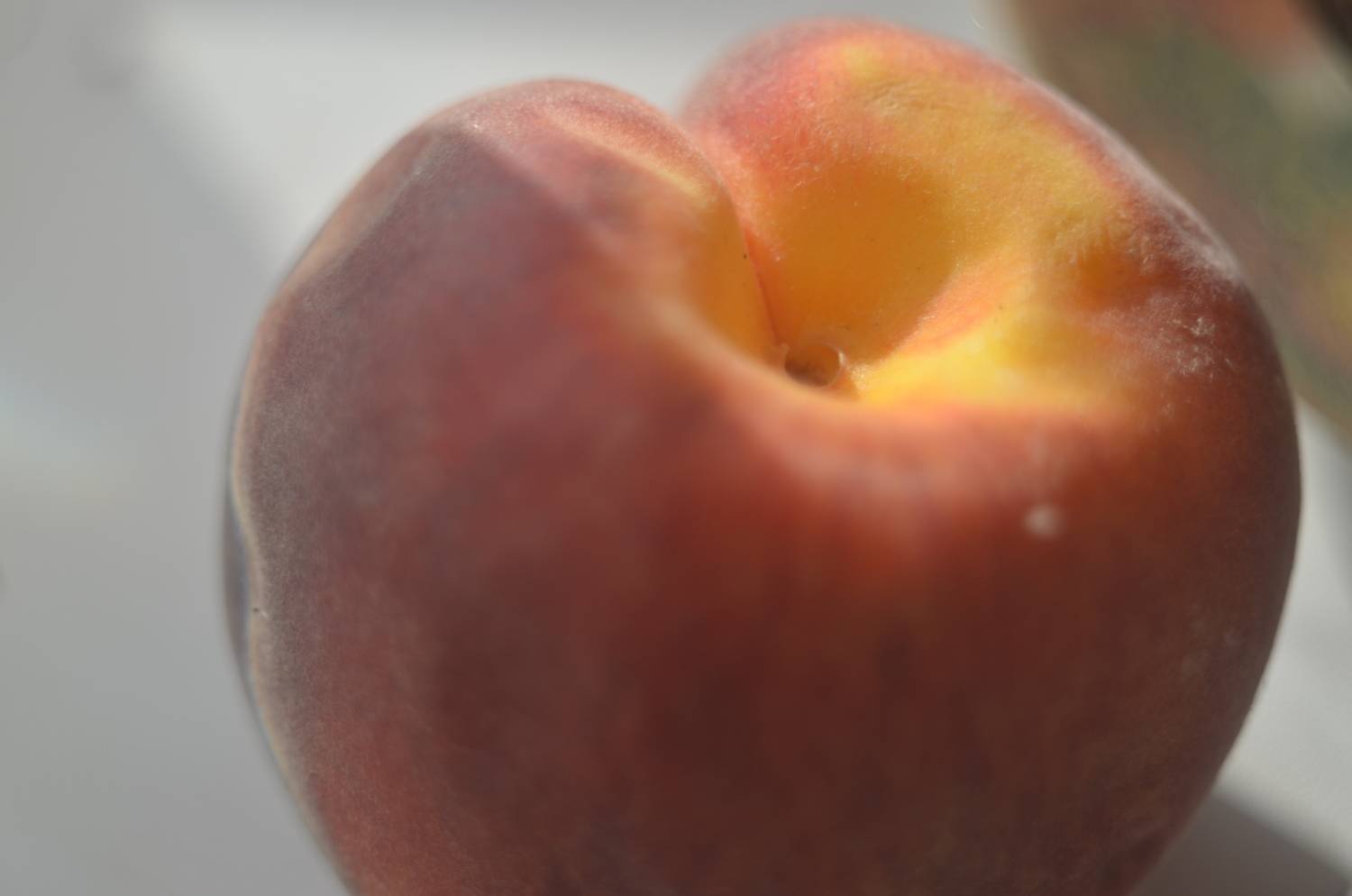 Фотография #13423007