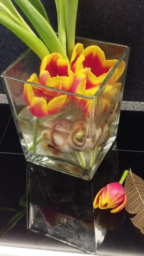 Photograph by Наталья