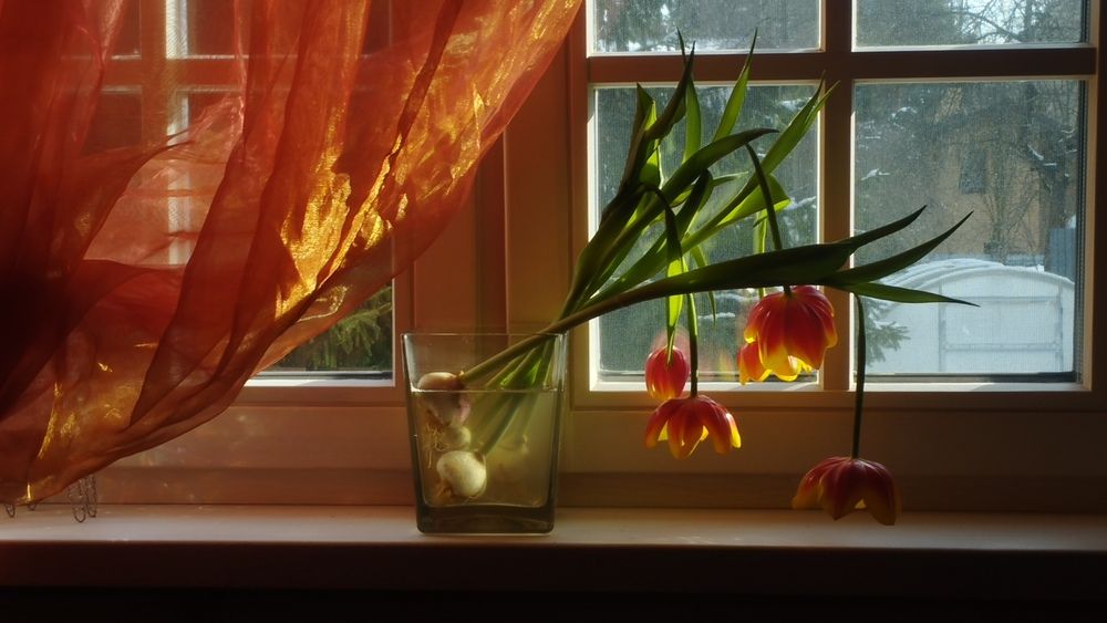 Photograph by Наталья