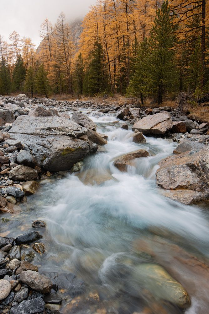 Фотография автора Анастасия Петрова
