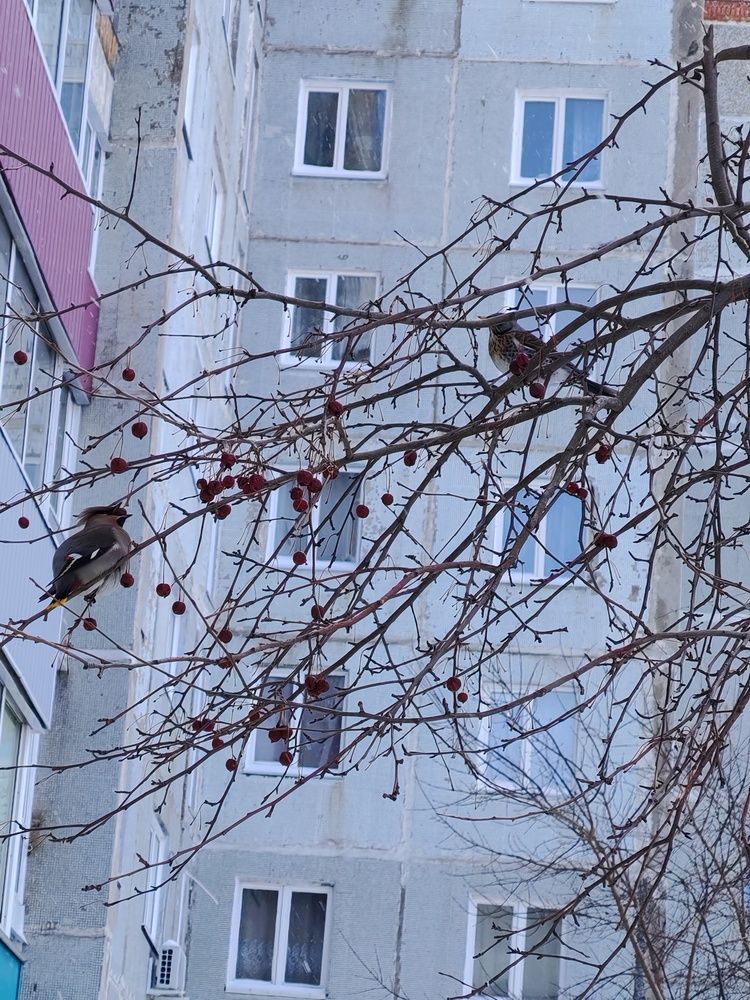 Photograph by Наталья Шендяпина