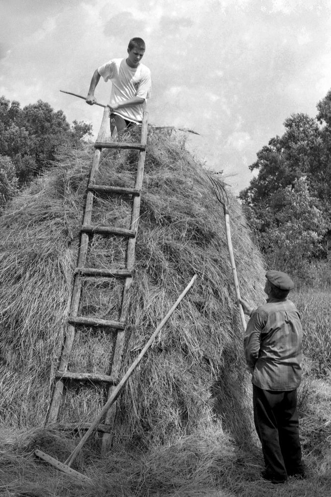 Photograph by Cергей Абакумов
