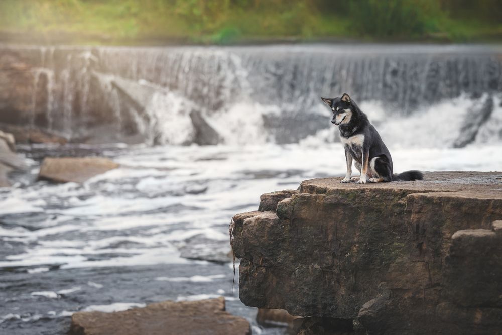 Фотография автора Яна Нарбутович