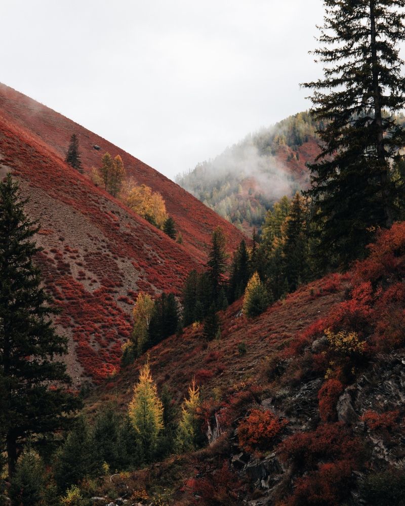 Photograph by Yaroslav Chaadaev