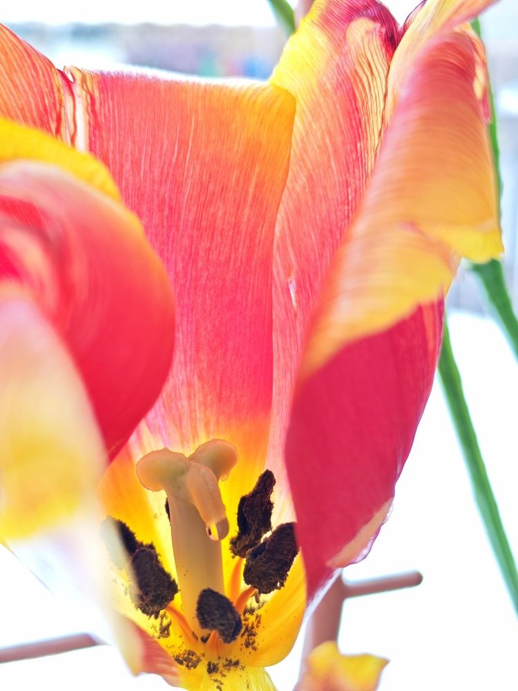 Photograph by Любовь Лунина