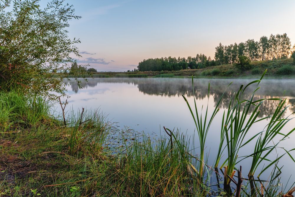 Photograph by Олег Каленин