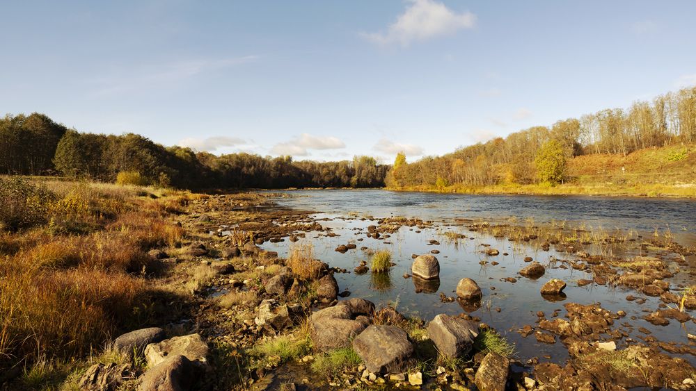 Photograph by Виктория Шажко