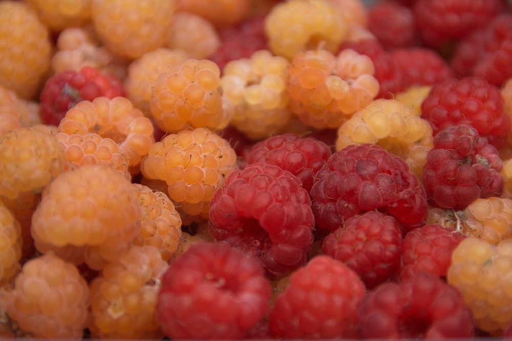 Photograph by Юрий Чистяков