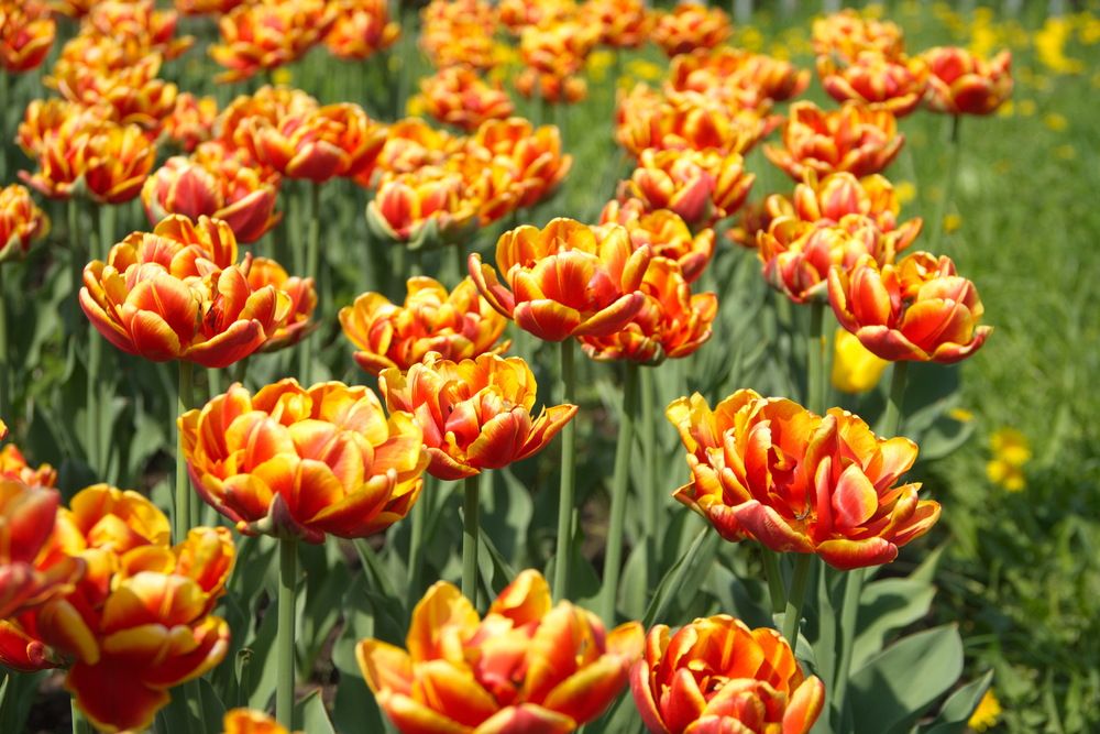 Photograph by Юрий Чистяков