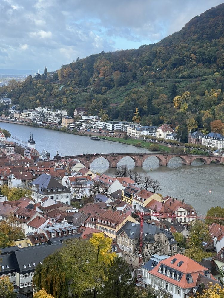 Фотография автора Mustafa Akseli