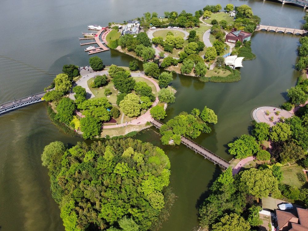 Фотография автора Mustafa Akseli