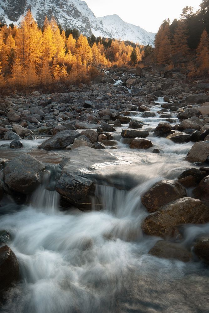 Фотография автора Анастасия Петрова