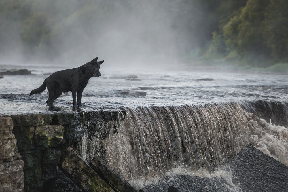 Фотография автора Яна Нарбутович