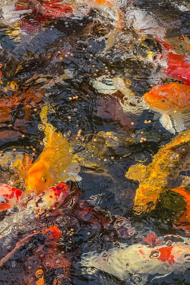 Фотография автора Татьяна