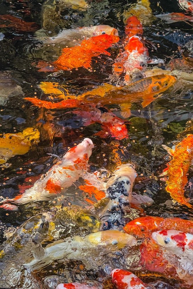 Фотография автора Татьяна