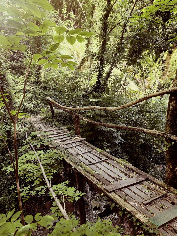 Photograph by Оксана Абакумова