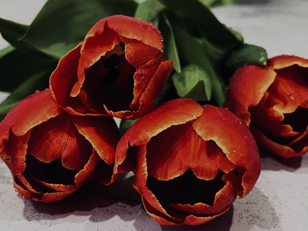 Photograph by Динара