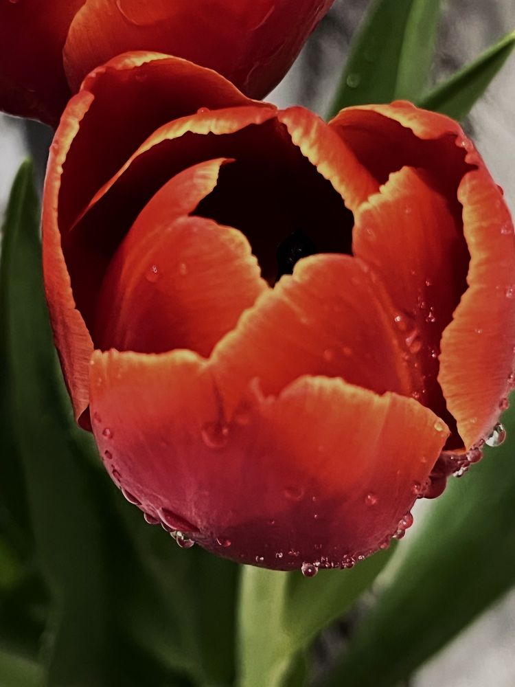 Photograph by Динара