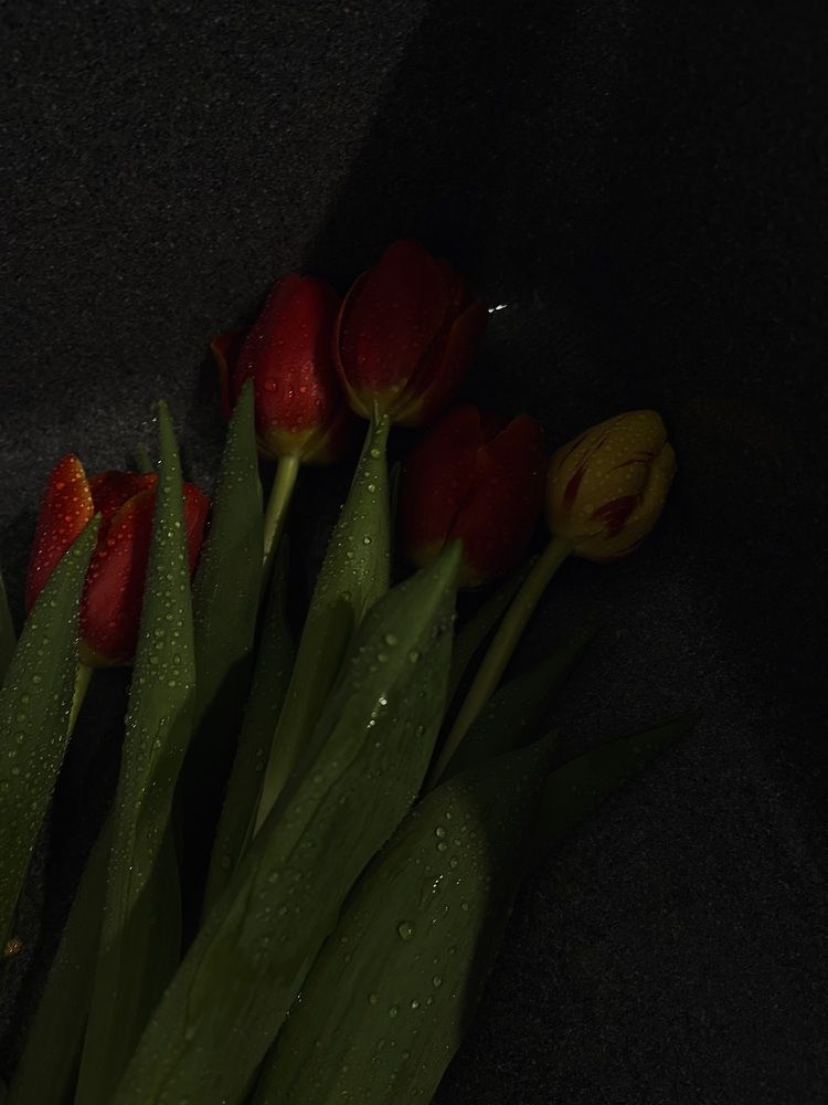 Photograph by Динара