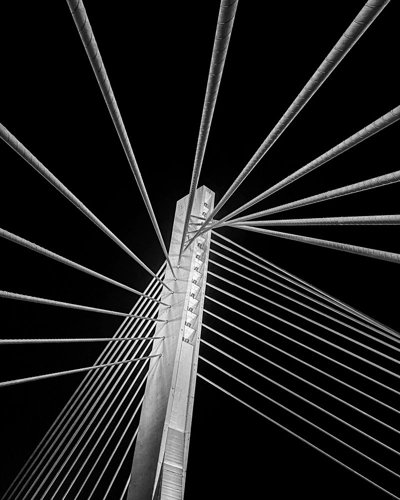 Фотография автора Jayakumar MN