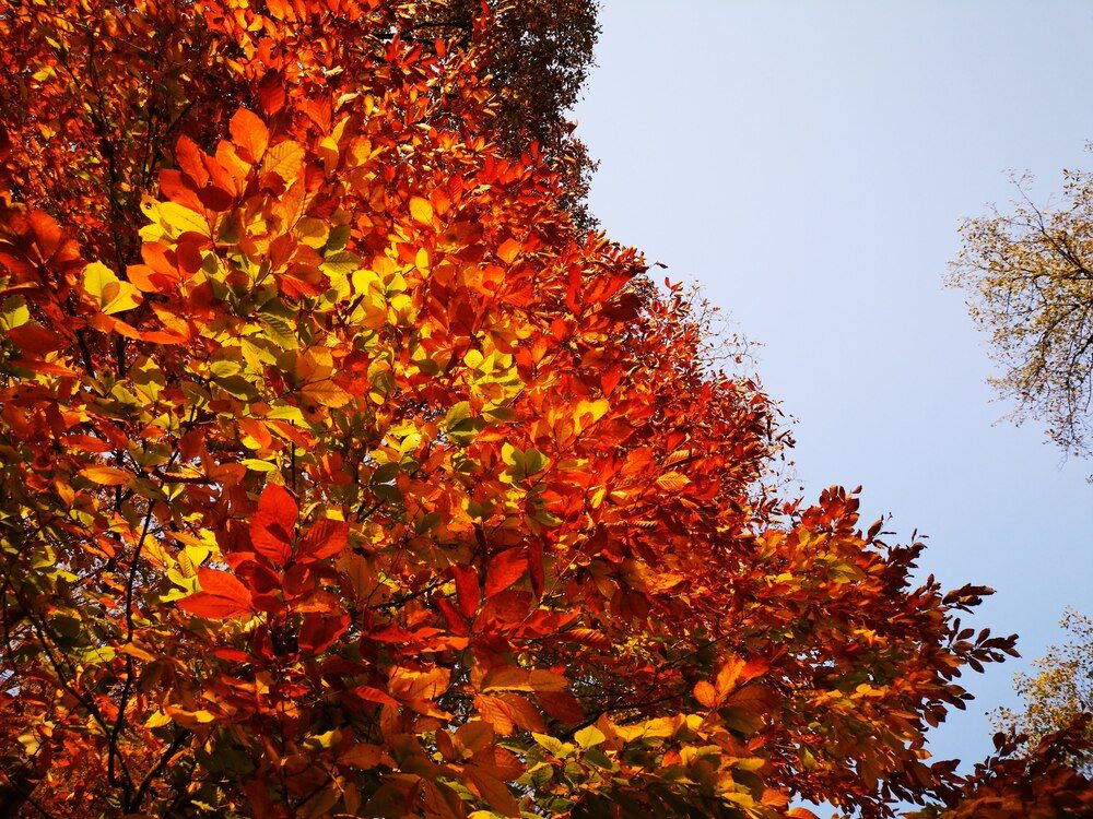 Photograph by Кристина