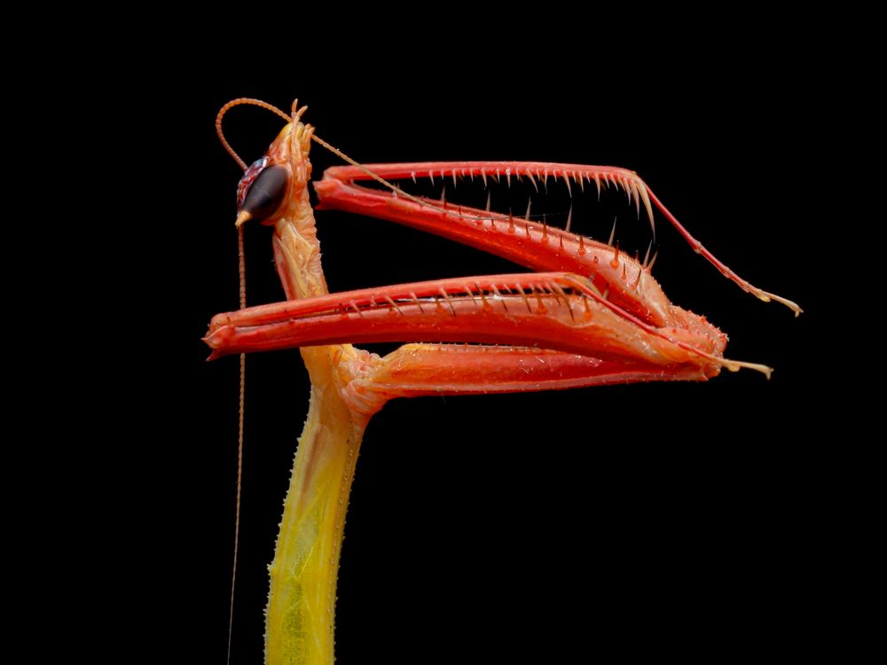 Photograph by TAN LING ZI