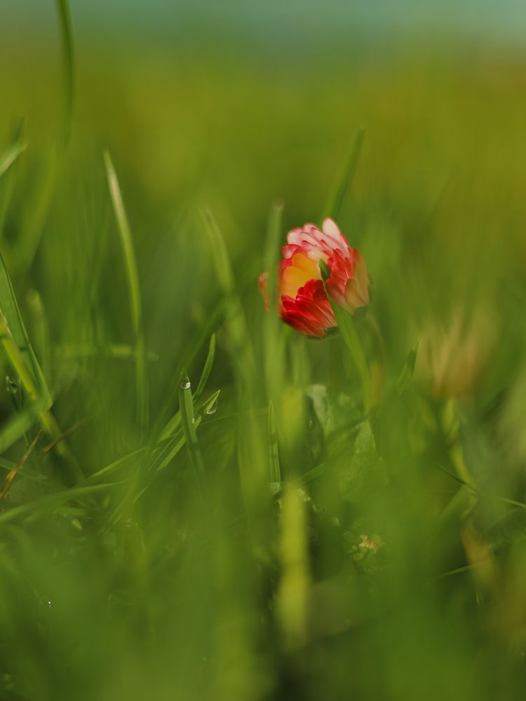 Photograph by Svetlana Fomenko