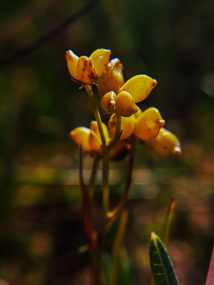 Photograph by Svetlana Fomenko