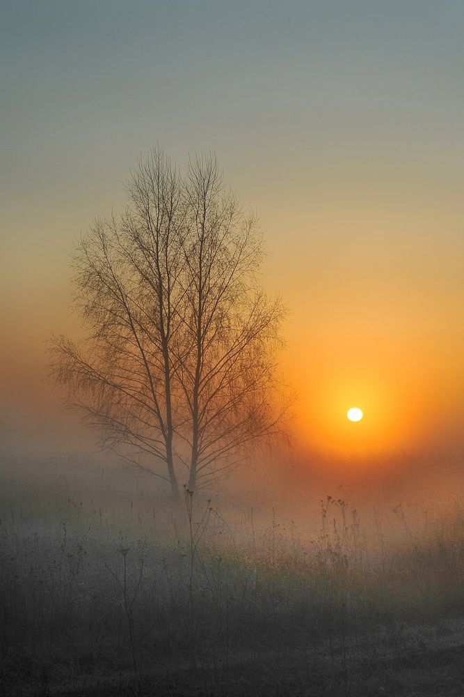 Photograph by Cергей Абакумов