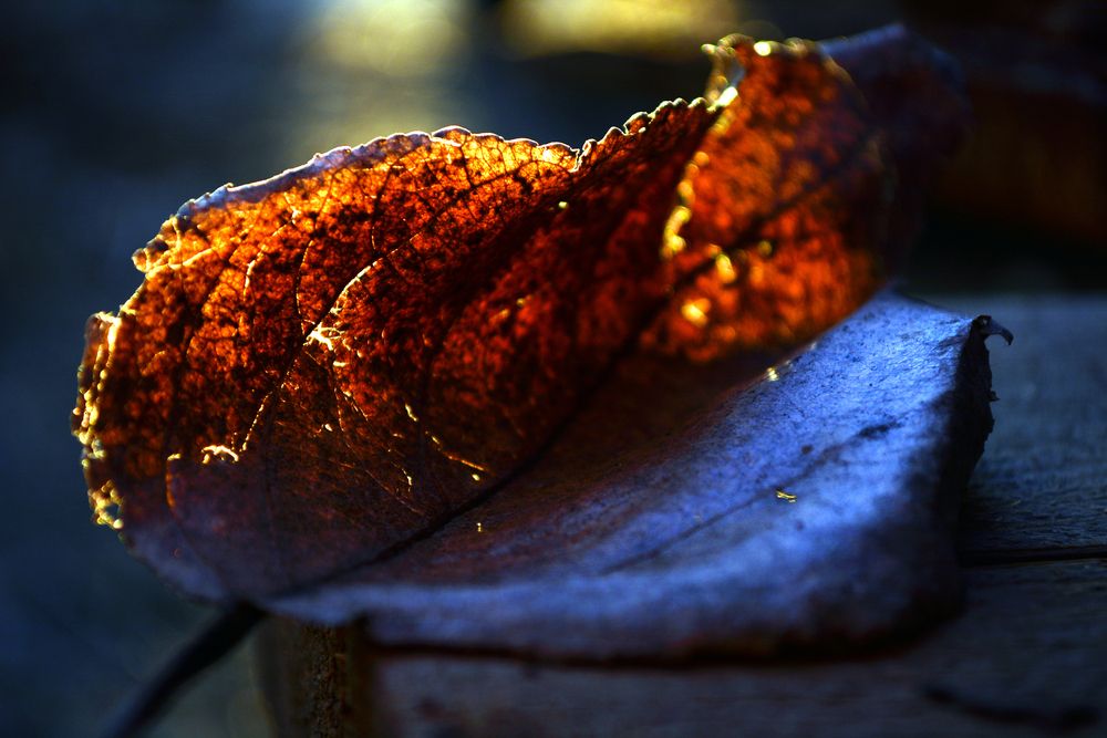 Photograph by Михаил Мехедов