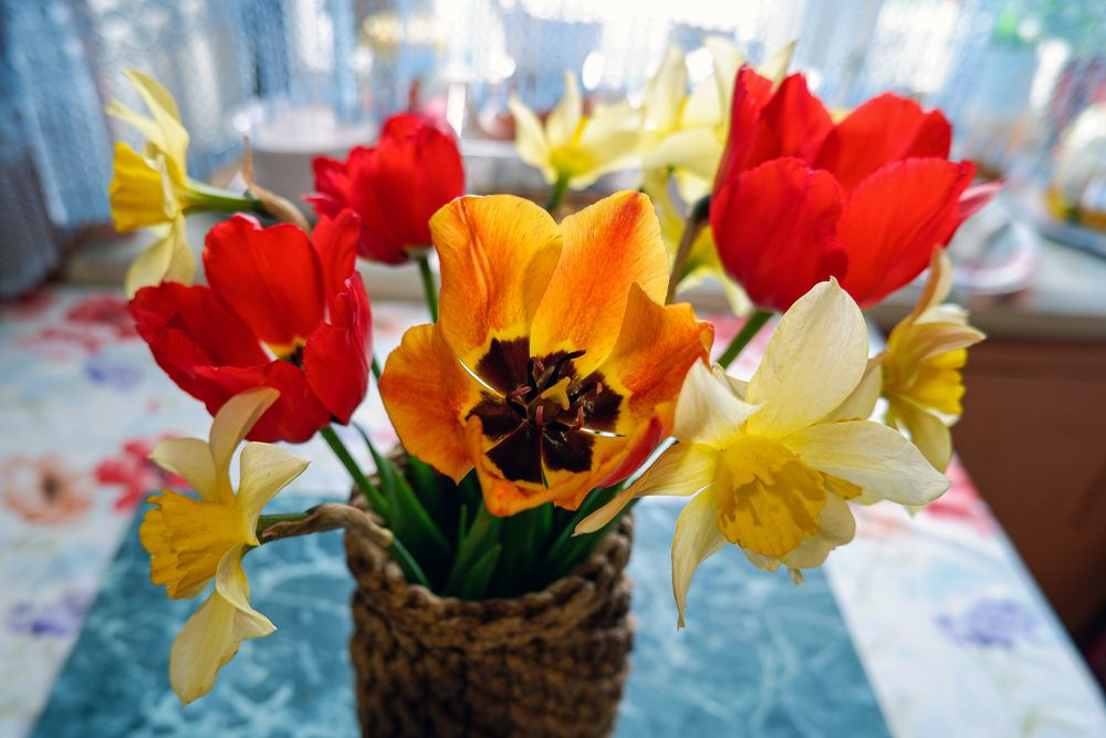 Photograph by Ирина Гуськова