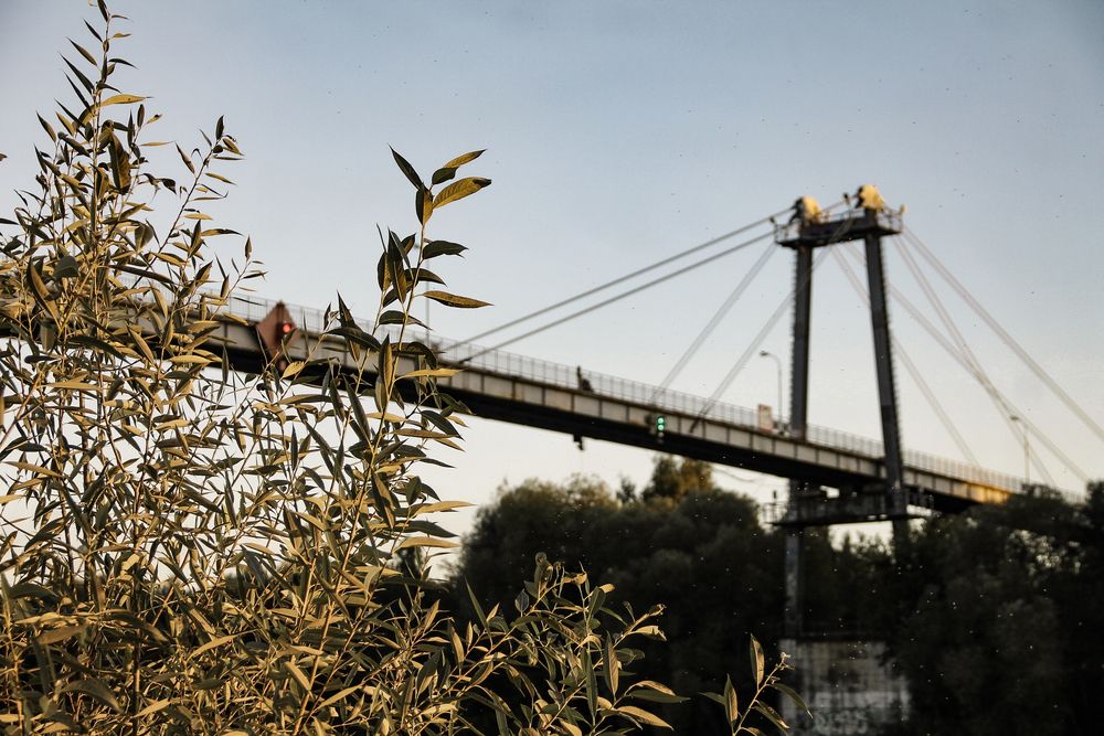 Photograph by Анастасия Псарёва